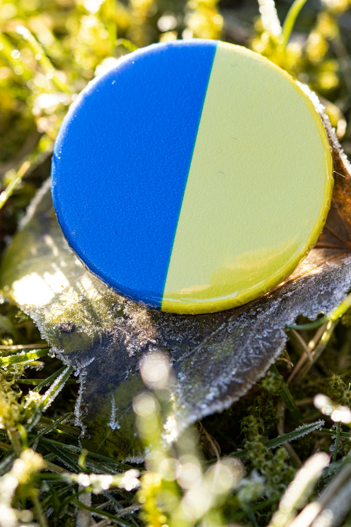 a blue and yellow frisbee sitting in the grass